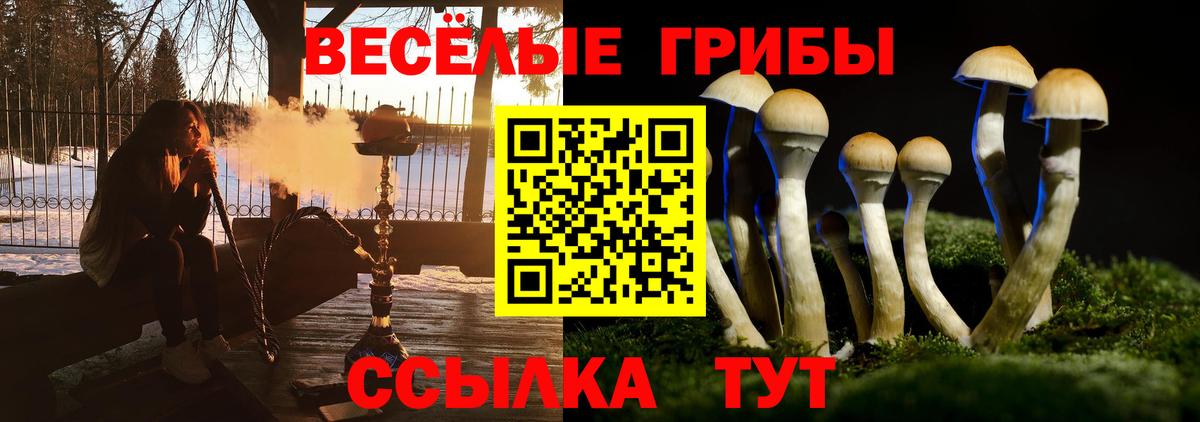 Псилоцибиновые грибы Psilocybine cubensis  Вход с VPN  Галлюциногенные грибы ЛСД  закладки  Топки 